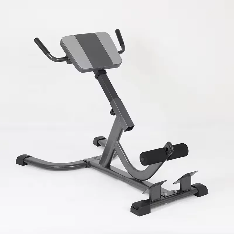 2026 Steel Roman Chair Adjusta - Home Gym Hamstring Exercises ulasan dan harga