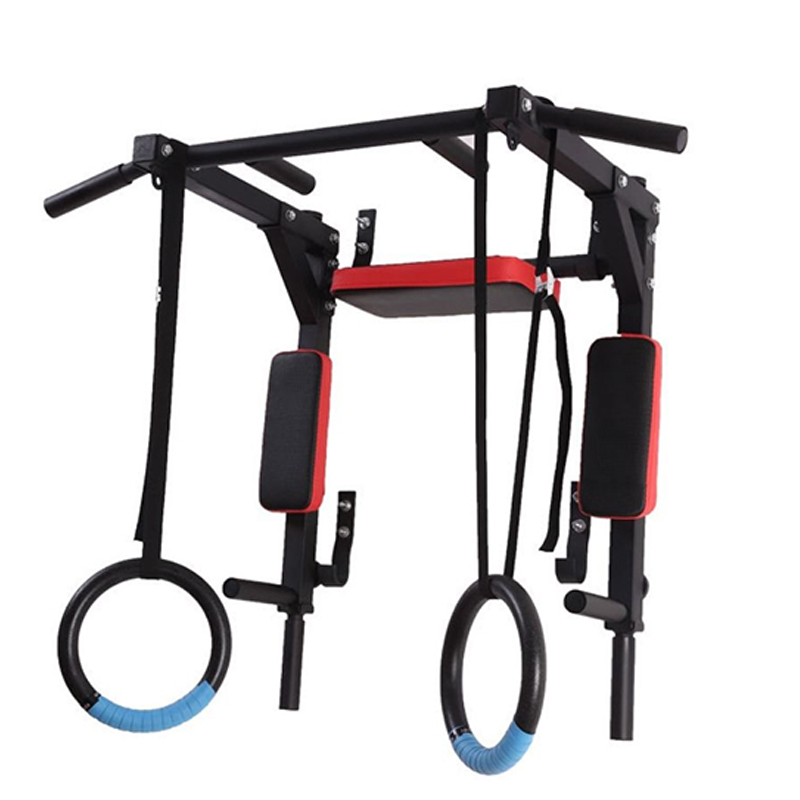 Heavy Duty Wall Mounted Parall - Home Gym Wall ulasan dan harga