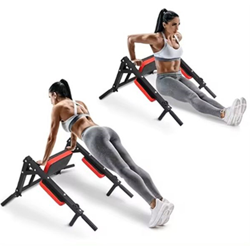 Heavy Duty Wall Mounted Parall - Home Gym Wall ulasan dan harga
