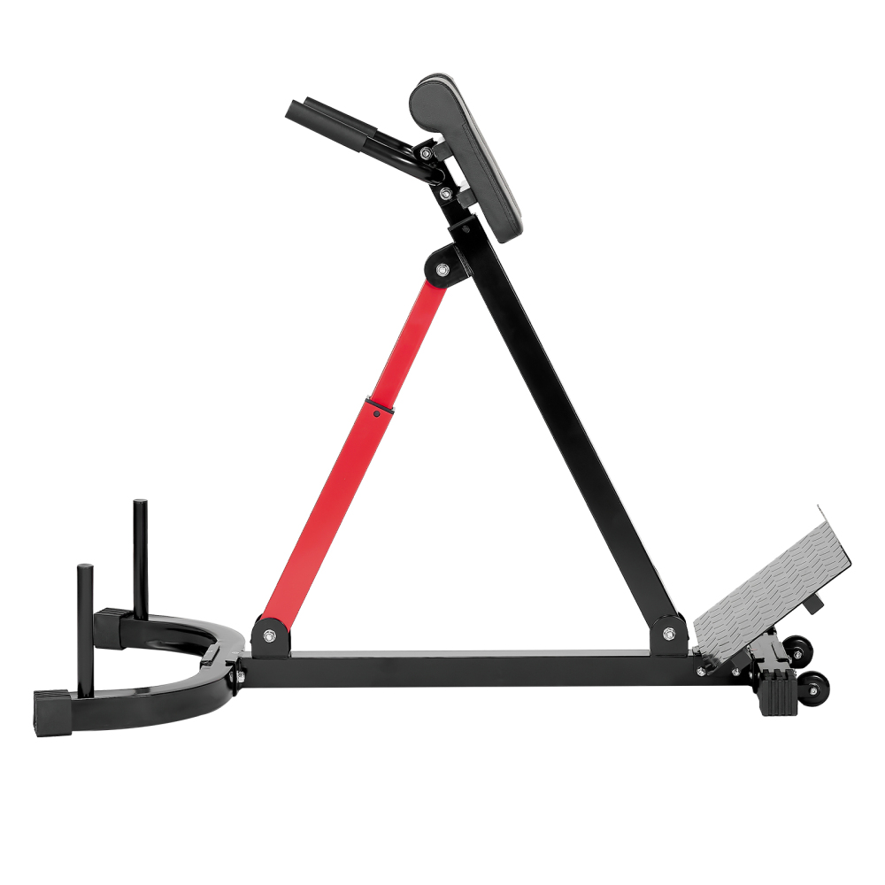 Roman Chair Hyperextension Ben - Home Gym Hamstring Exercises ulasan dan harga